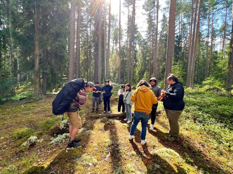Helsinki_Taiga_Forest_Trek_8