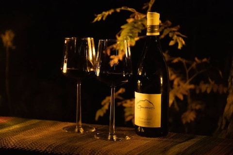 Wine Tasting in the Woods