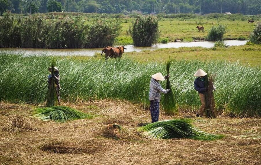 Hoi_An_Cam_Kim_Island_5