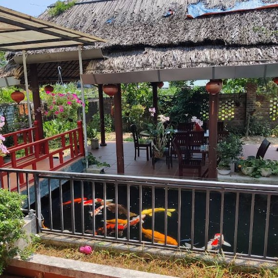 Hoi_An_Hoi_An_Countryside_6