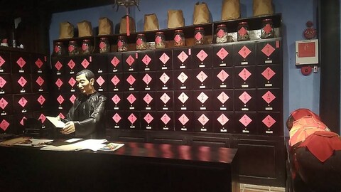 Museum of Traditional Medicine