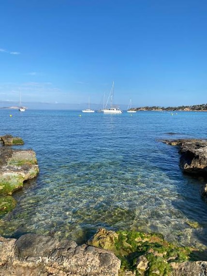 Ibiza_Ses_Variades_1