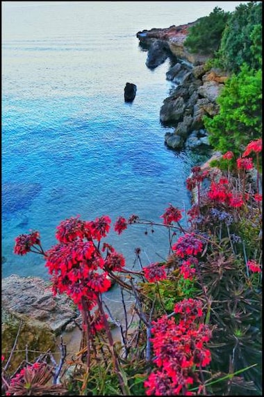 Ibiza_Ses_Variades_9