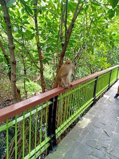 Angke Kapuk Nature Tourism Park