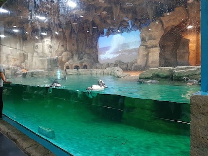 Underwater World at Ancol