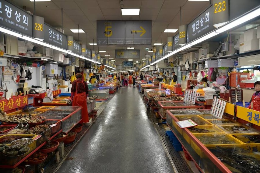 Jung_(Busan)_Jagalchi_Market_4