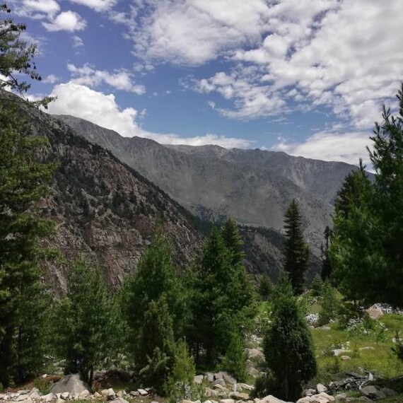 Kalpa_Lippa_Asrang_Wildlife_Sanctuary_3