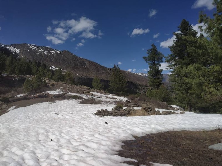 Kalpa_Trekking_to_Chakka_10