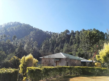Binsar