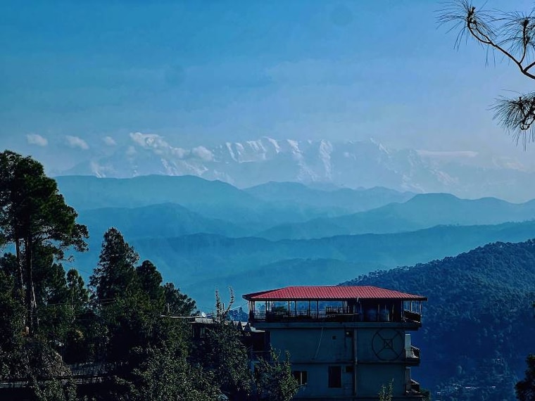 Kausani_Kausani_Tea_Estate_6