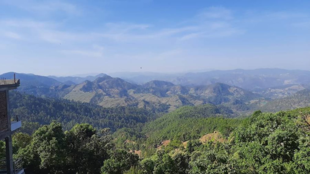 Kausani_Kausani_Tea_Estate_7