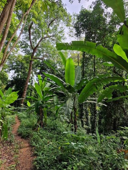 Koh_Samui_Tan_Rua_Waterfall_6