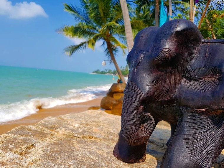 Koh_Samui_Treehouse_Silent_Beach_Restaurant_4