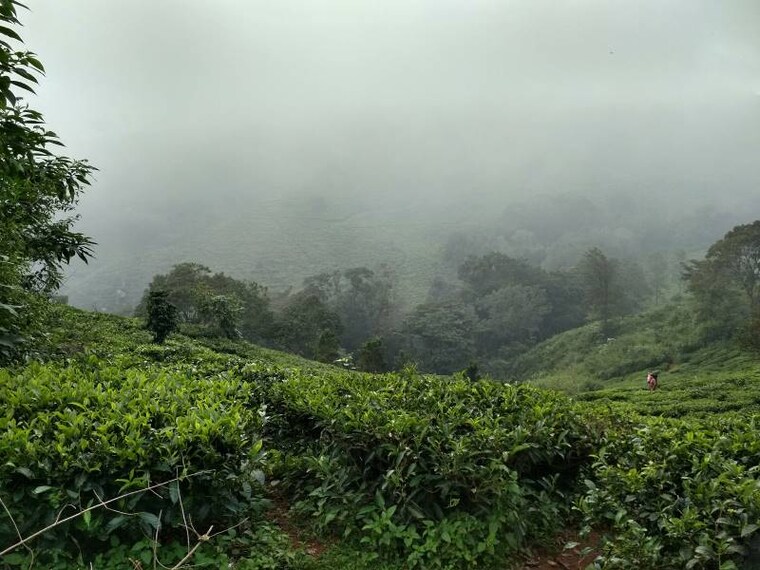 Kotagiri_Catherine_Falls_7