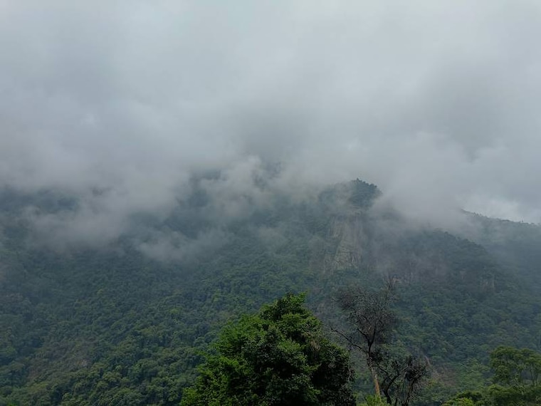 Kotagiri_Elk_Falls_2