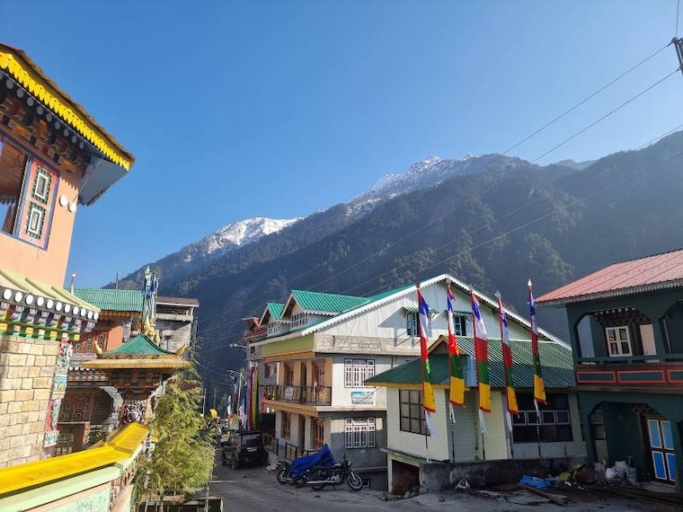 Lachen_Delight_Royal_Lachen_4