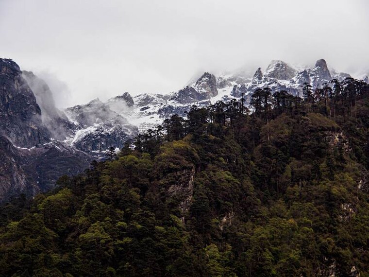 Lachung_Delight_Royal_Lachung_6