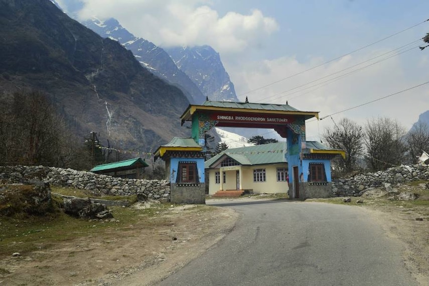 Lachung_Shingba_Rhododendron_Sanctuary_9