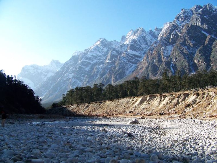 Lachung_Yumthang_Valley_10