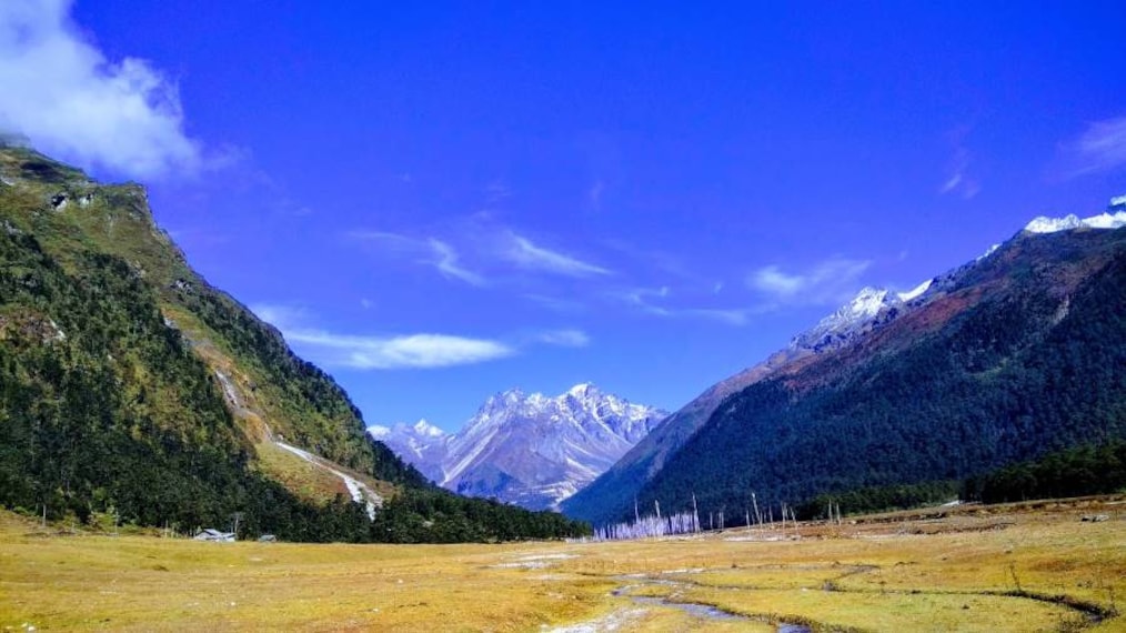 Lachung_Yumthang_Valley_3