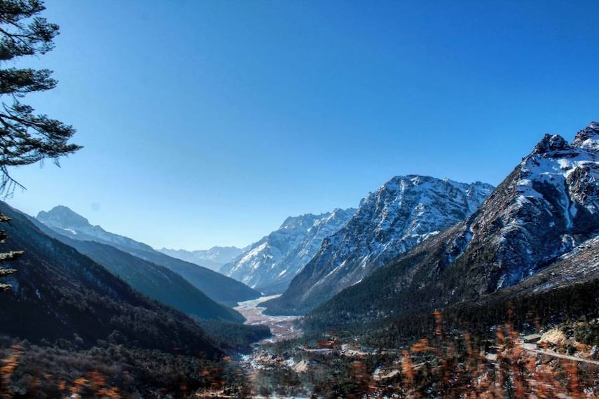 Lachung_Yumthang_Valley_4