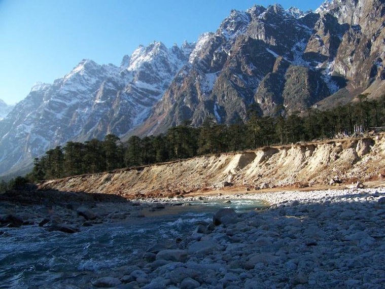 Lachung_Yumthang_Valley_6