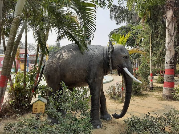 Malda_Aquatic_Bengal_5