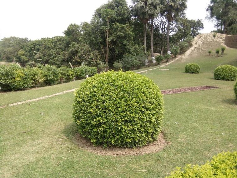 Malda_Dakhil_Darwaza_8