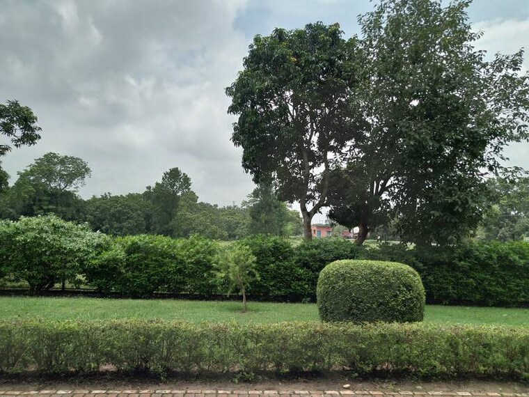 Malda_Lattan_Mosque_7