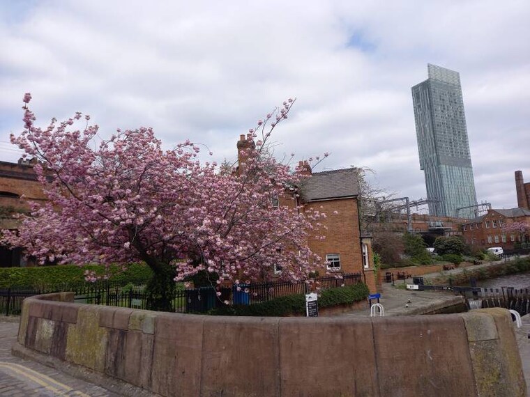 Manchester_Castlefield_6