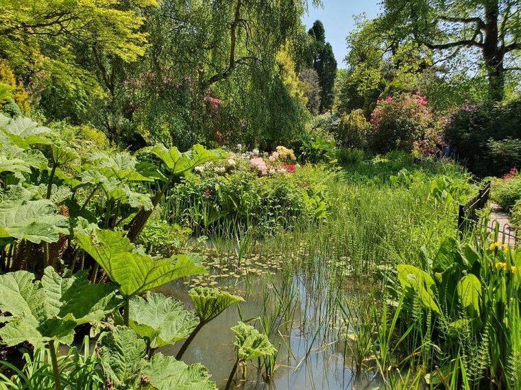 Manchester_Fletcher_Moss_Park_1