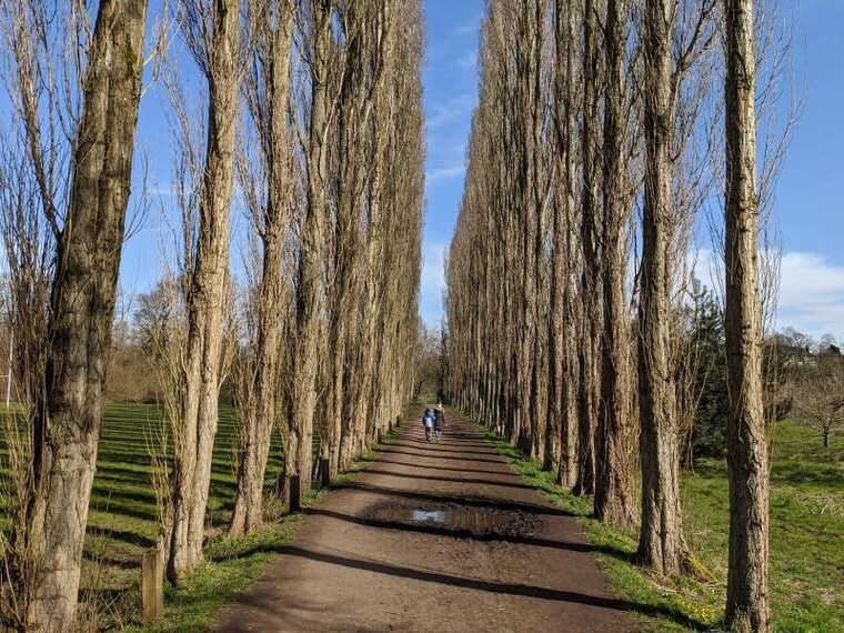 Manchester_Fletcher_Moss_Park_2