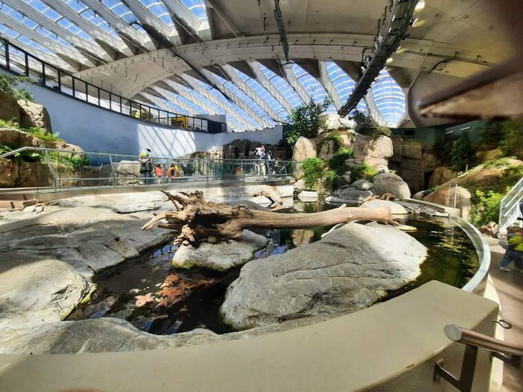 Montreal_Montreal_Biodome_1