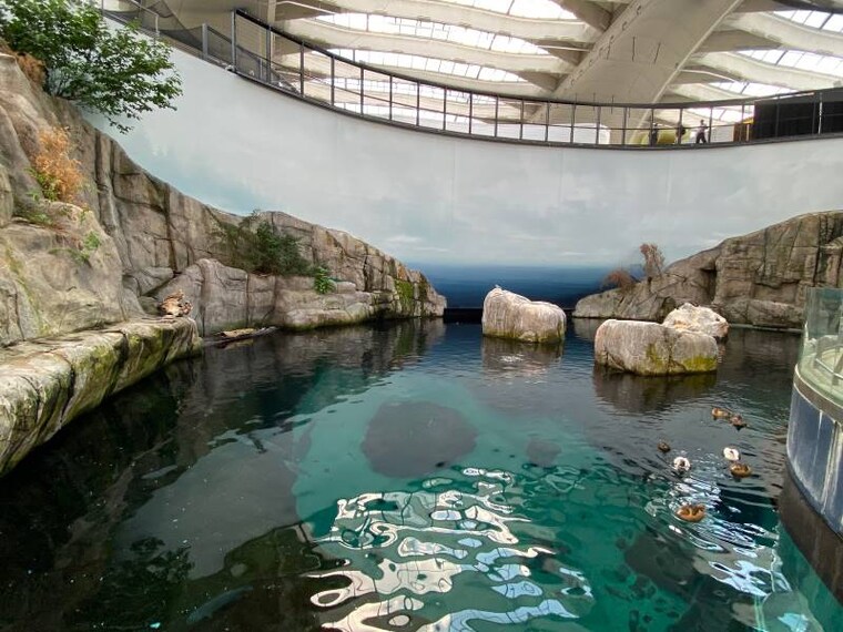 Montreal_Montreal_Biodome_2
