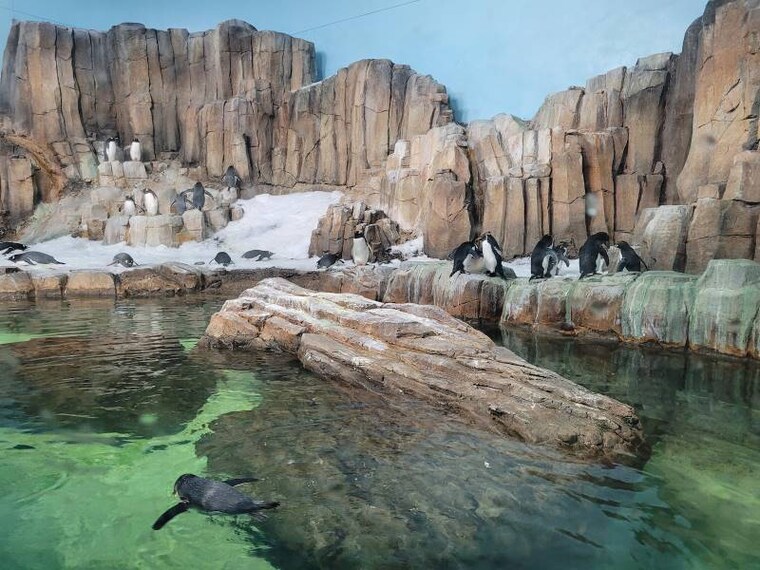 Montreal_Montreal_Biodome_5