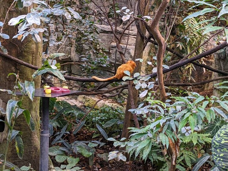 Montreal_Montreal_Biodome_8