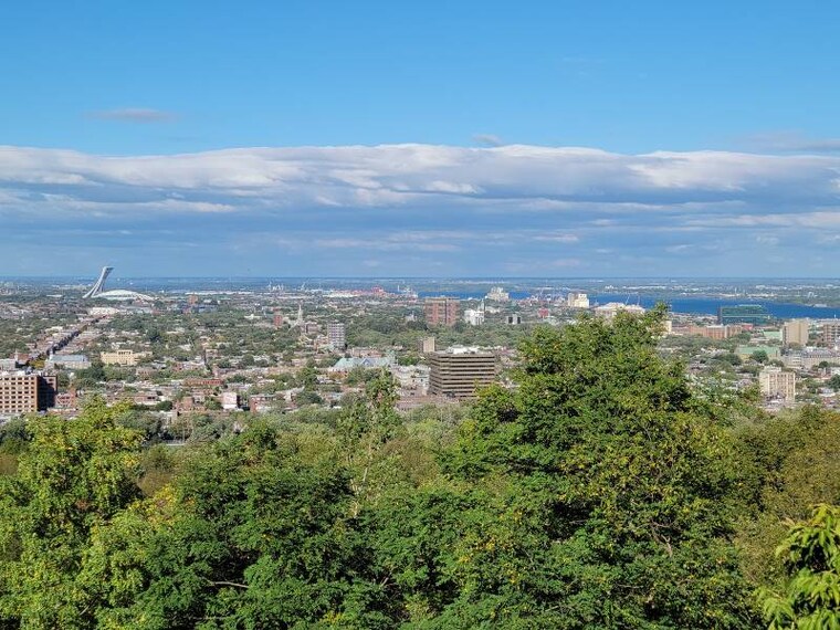 Montreal_Montreal_Park_8