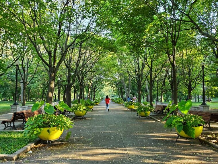 Montreal_Parc_La_Fontaine_4