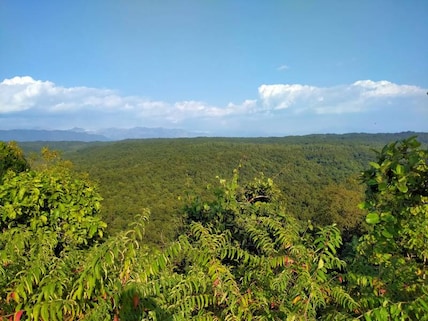 Nahan Simbalbara National Park