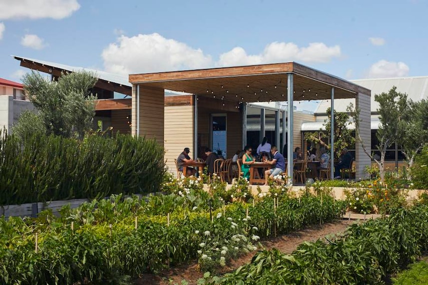 Perth_Coogee_Common_3