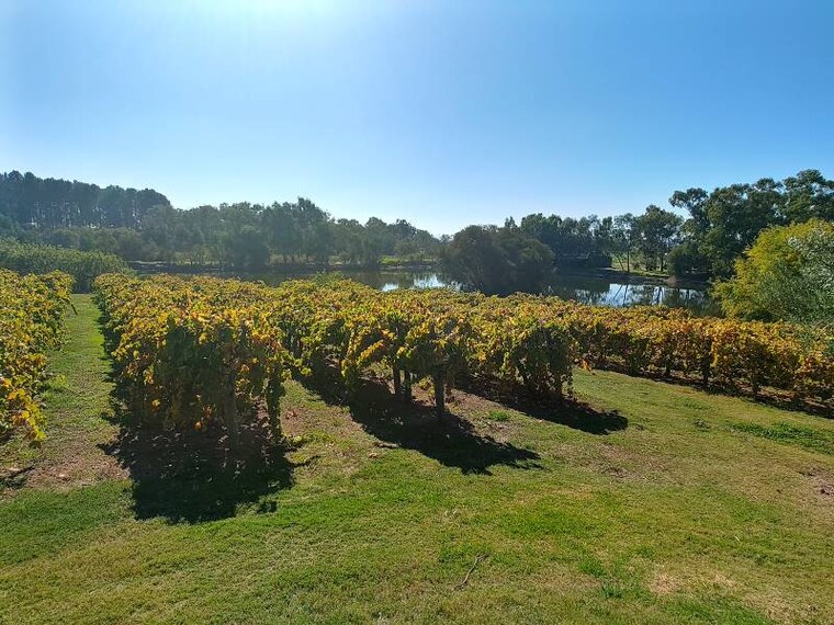 Perth_Edgecombe_Brother_s_Winery_2