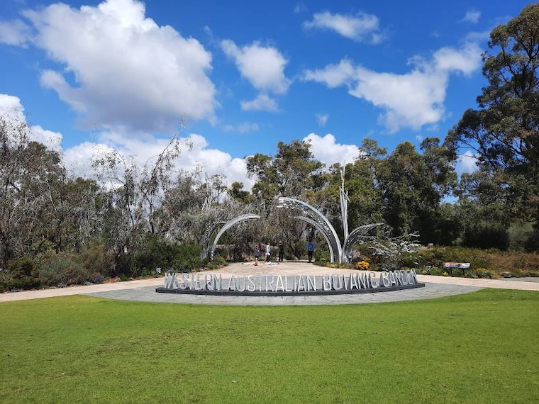 Perth_Kings_Park_&_Botanic_Garden_1