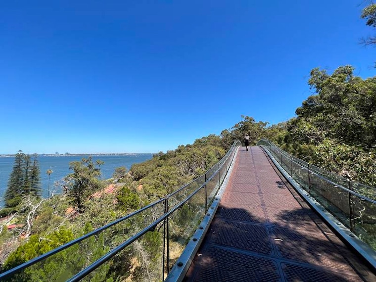 Perth_Kings_Park_&_Botanic_Garden_3