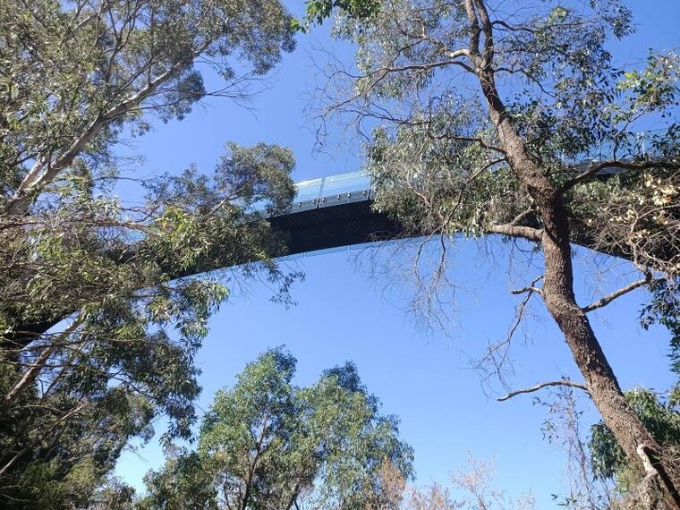 Perth_Lotterywest_Federation_Walkway_6