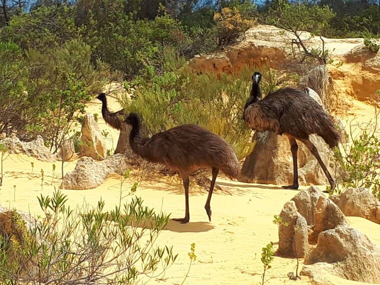 Perth_Pinnacle_Dessert_10