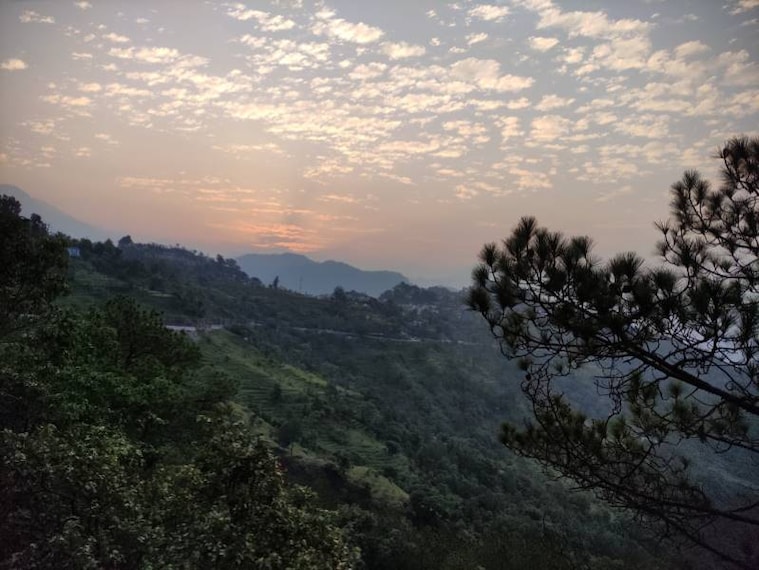 Pithoragarh_Askot_Sanctuary_5