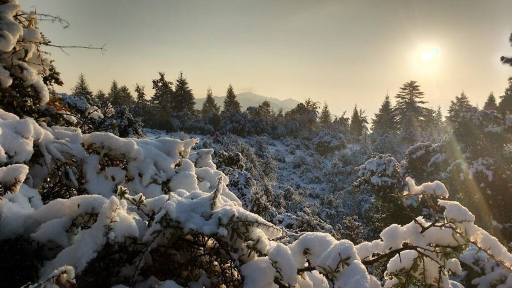 Pithoragarh_Chandak_8