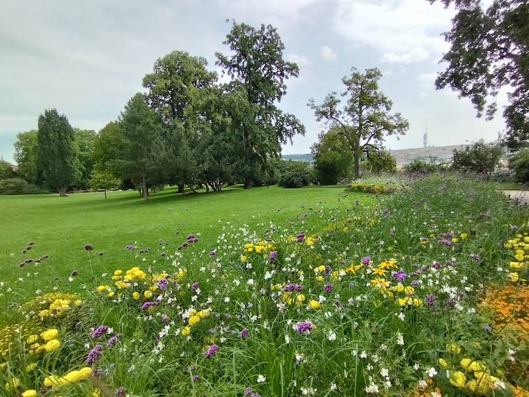 Prague_Letna_Park_10