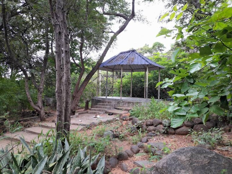 Puttaparthi_Meditation_Tree__5