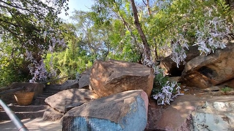 Wish Fulfilling Tree